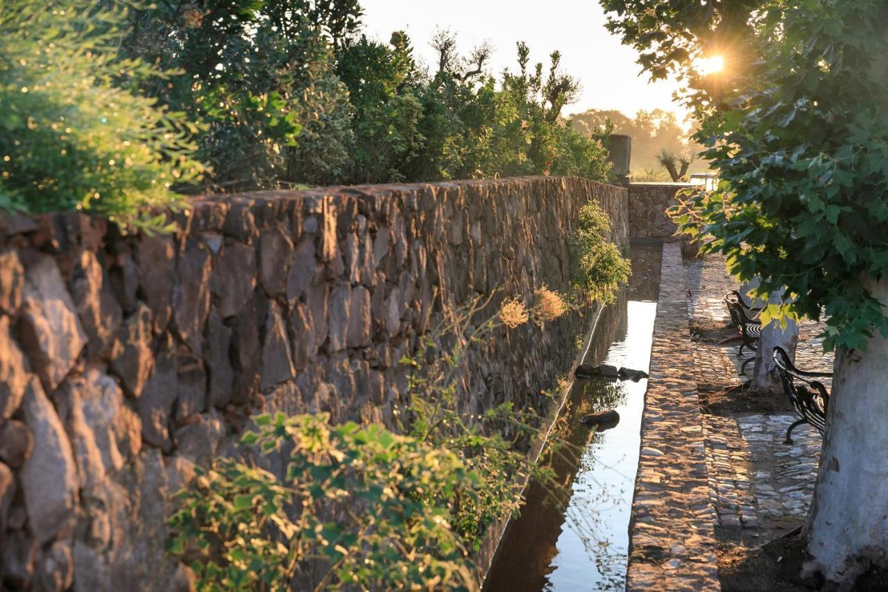 Chateau Saint Roux Le Luc-Le Cannet Des Maures Esterno foto